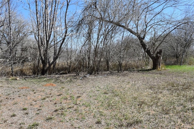 3200 N State Highway 16, Jourdanton, TX 78026 - view of yard