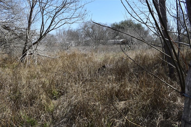 view of local wilderness