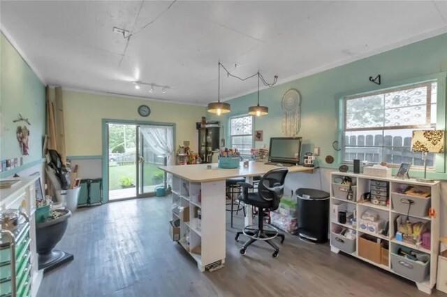 100 Muledeer Ct, Hutto, TX 78634 - office area featuring crown molding, rail lighting, and wood finished floors