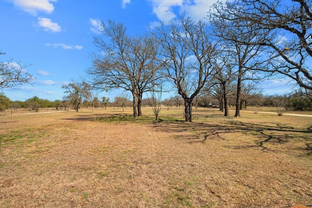 view of yard featuring a rural view