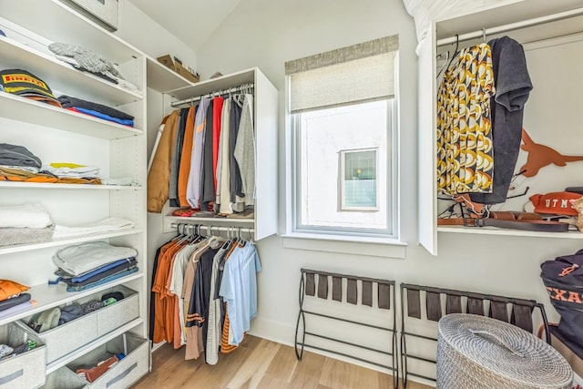 spacious closet featuring wood finished floors