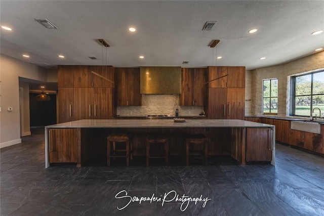 kitchen with a sink, visible vents, custom exhaust hood, and modern cabinets