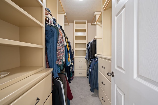 walk in closet featuring light carpet