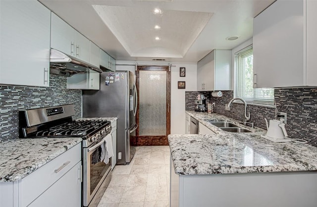 kitchen featuring light stone countertops, a tray ceiling, a sink, stainless steel appliances, and under cabinet range hood