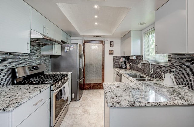 3604 Tamarack Trl, Austin, TX 78727 - kitchen with appliances with stainless steel finishes, under cabinet range hood, a sink, backsplash, and recessed lighting