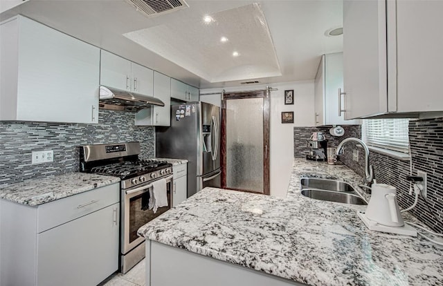 kitchen with a barn door, a sink, appliances with stainless steel finishes, under cabinet range hood, and a raised ceiling