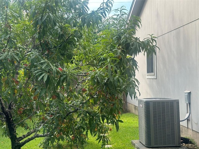 view of yard featuring cooling unit