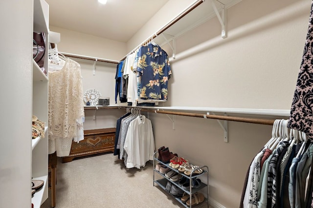 walk in closet with carpet