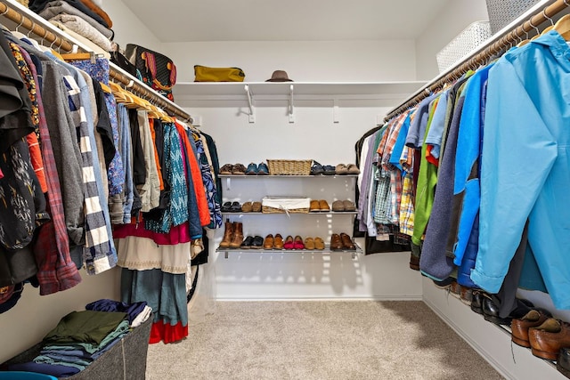 spacious closet with carpet