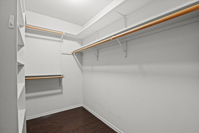 walk in closet with dark wood finished floors