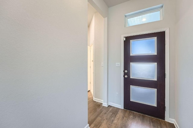 107 Lemuel Crawford Trl, Bastrop, TX 78602 - foyer featuring dark wood-type flooring and baseboards