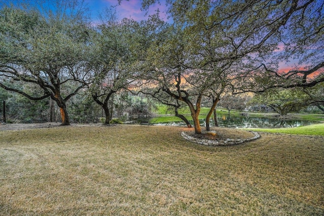 view of yard featuring a water view