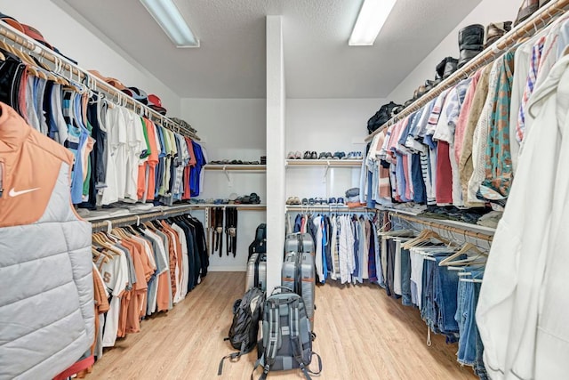 spacious closet featuring wood finished floors