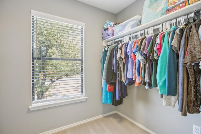 spacious closet featuring carpet floors