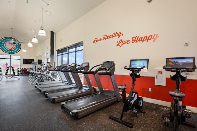 112 High Plains Pass, Liberty Hill, TX 78642 - exercise room featuring healthy amount of natural light and a towering ceiling