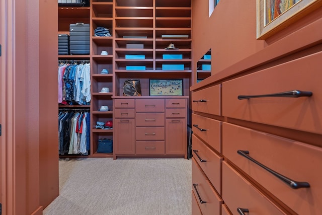 walk in closet with light carpet