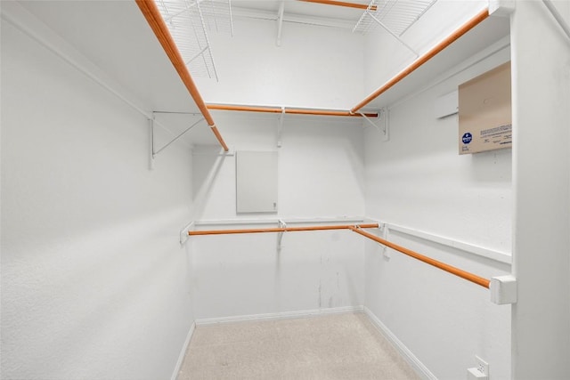 spacious closet with light colored carpet