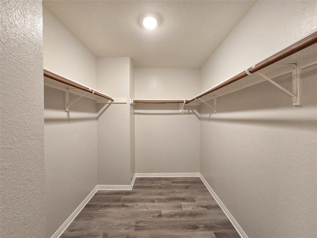 walk in closet featuring wood finished floors