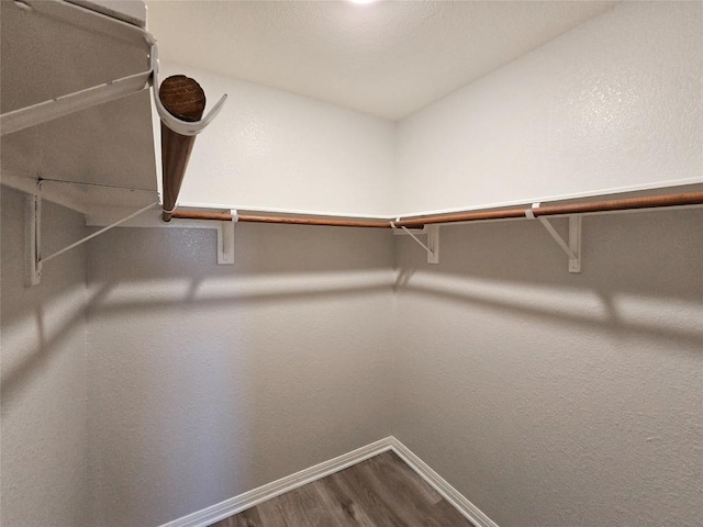 walk in closet featuring dark wood-type flooring