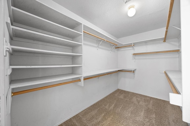 spacious closet with carpet floors