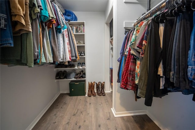 spacious closet featuring wood finished floors