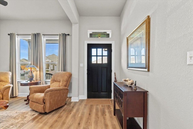 107 Freeman Day Dr, Bastrop, TX 78602 - entrance foyer featuring light wood-style floors, a textured wall, and baseboards