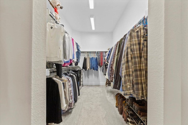 107 Freeman Day Dr, Bastrop, TX 78602 - walk in closet featuring carpet floors