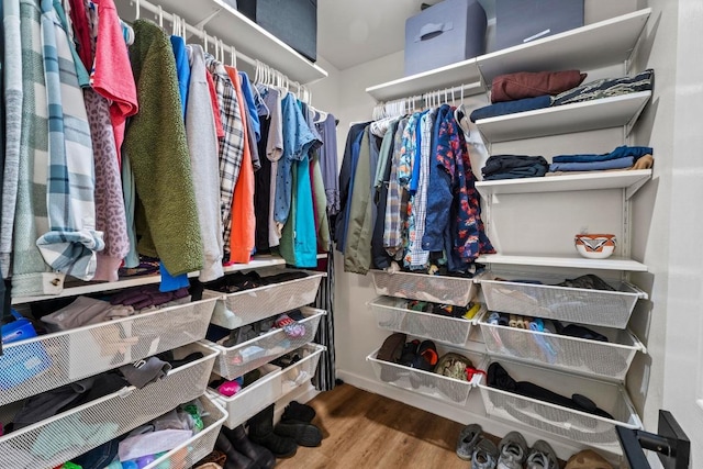 walk in closet with wood finished floors