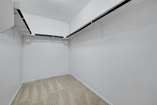 spacious closet with carpet floors