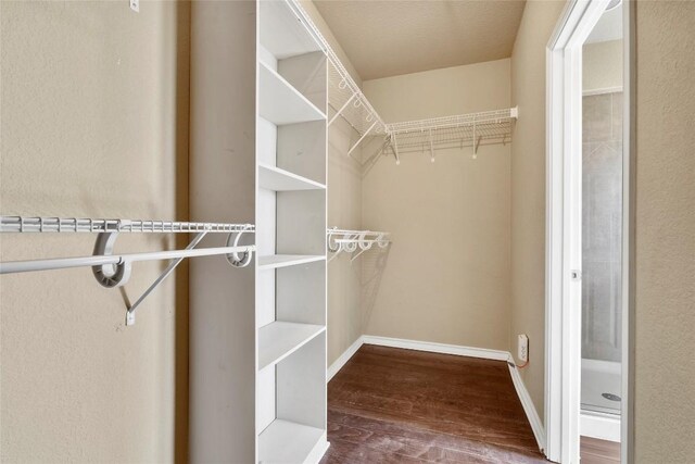 walk in closet featuring wood finished floors