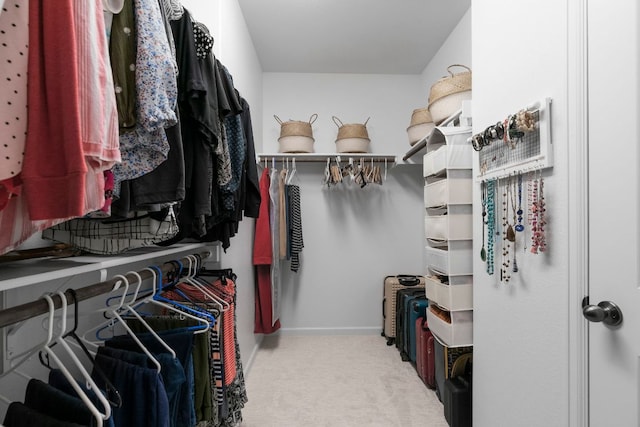 walk in closet with carpet flooring