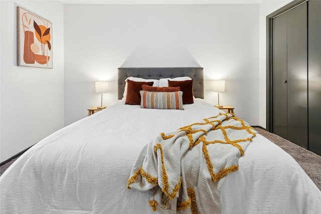 300 Crockett St Unit 118, Austin, TX 78704 - carpeted bedroom with a closet