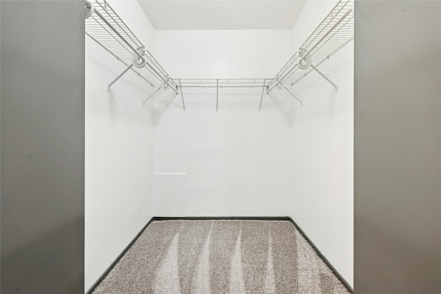 300 Crockett St Unit 118, Austin, TX 78704 - spacious closet with carpet