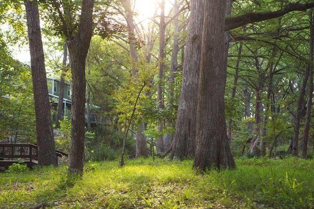 view of landscape featuring a wooded view