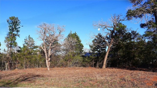 TBD Eaglenest Ct, Smithville TX, 78957 land for sale