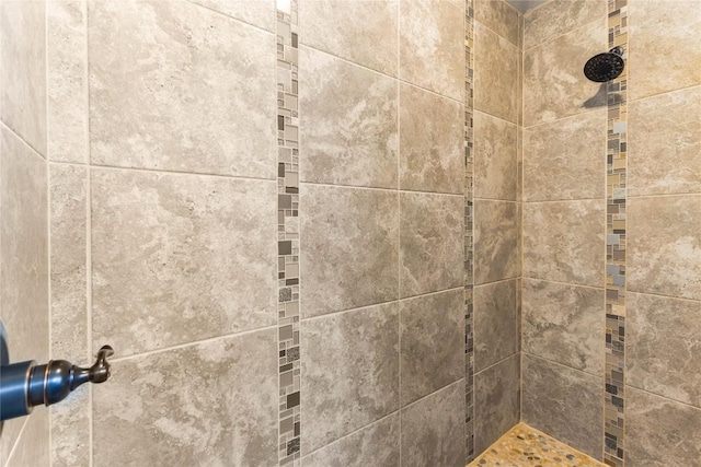 interior details with tiled shower