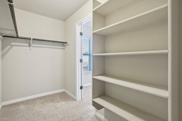 walk in closet featuring carpet