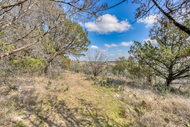 view of local wilderness