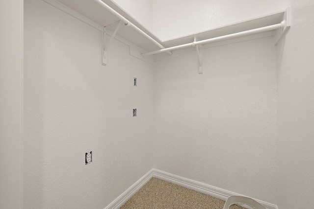 walk in closet with carpet flooring