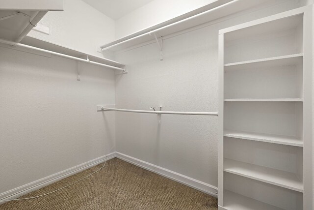 spacious closet with carpet