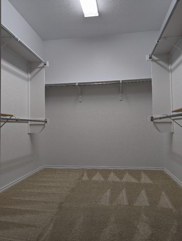 spacious closet with carpet floors