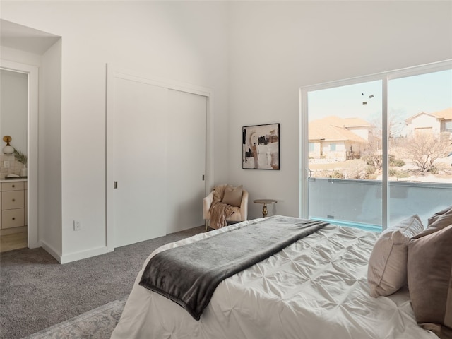 bedroom with a closet and carpet