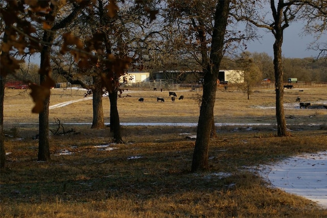 view of yard with a rural view