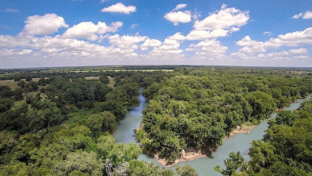 aerial view featuring a forest view and a water view