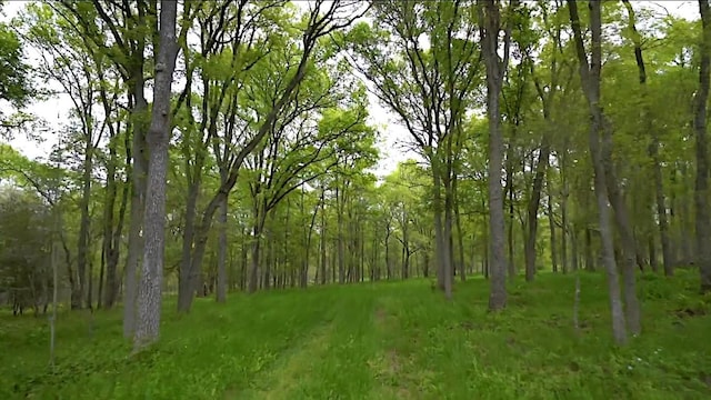 view of landscape