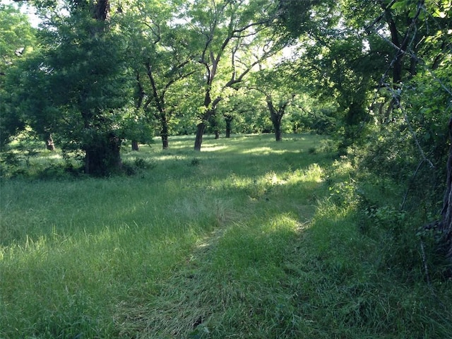 view of landscape with a view of trees