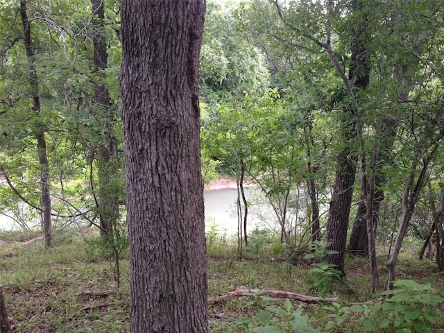 view of local wilderness featuring a forest view