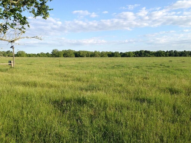 view of landscape featuring a rural view