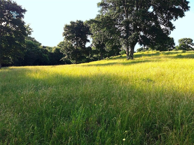 view of landscape