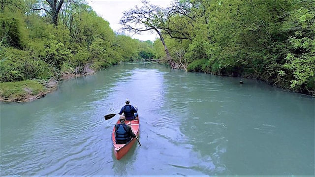 water view with a forest view